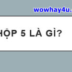 Hộp 5 là gì? Điều đáng sợ về hộp 5 chưa ai biết