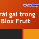 Trái gai trong Blox Fruit.  Trái gai trong Blox Fruit bao nhiêu tiền?