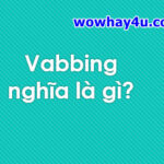 Vabbing nghĩa là gì? Điều độc hại từ vabbing chưa ai biết