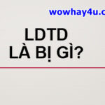 ldtd là bị gì? Điều đáng sợ khi bị ldtd chưa ai biết