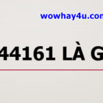 644161 là gì? Đúng nhất