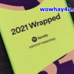 Spotify Wrapped là gì? Khi nào là Spotify Wrapped 2022?