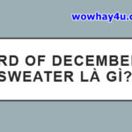 3rd of December sweater là gì? Đúng nhất