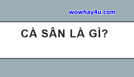 Cà sân là gì? Cà sân có giống sà cân không? Đúng nhất