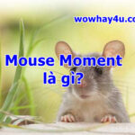 Mouse Moment là gì? Điều đặc biệt Mouse Moment TikTok