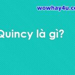 Quincy là gì? Điều đáng sợ Quincy trong Bleach