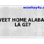 Sweet Home Alabama là gì? Điều đáng sợ bạn biết chưa