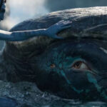 Tulkun là ai? Tại sao Tulkun bị săn lùng trong Avatar 2?