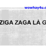 Ziga Zaga là gì? Đúng nhất đọc ngay