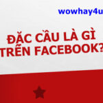 Đặc cầu là gì trên facebook? Đúng nhất