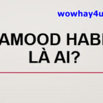 Hamood Habibi là ai? Điều đặc biệt về Hamood Habibi chưa ai biết