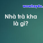 Nhà trà kha là gì? Đọc ngay để biết