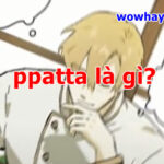 ppatta là gì? Không ngay không tối cổ ráng chịu
