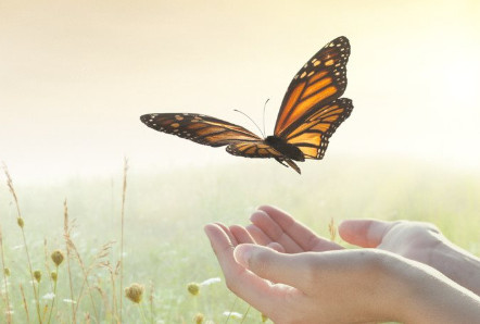 Buông bỏ và bước tiếp: 15 lời khuyên để quên đi quá khứ