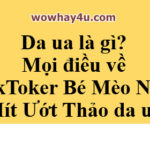 Da ua là gì? Mọi điều về TikToker Bé Mèo Nhỏ Mít Ướt Thảo da ua