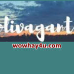 Solivagant là gì? Cảm nhận đi lang thang một mình