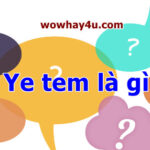 Ye tem là gì? Lí do ye tem được tìm kiếm nhiều nhất