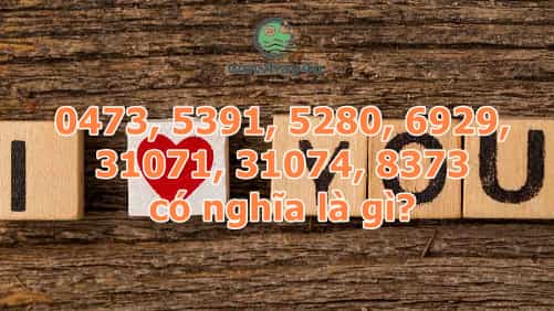 0473, 5391, 5280, 6929, 31071, 31074, 8373 có nghĩa là gì? Đúng nhất