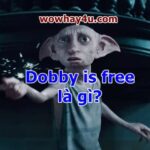 Dobby is free là gì? Đây lí do dobby is free được yêu thích