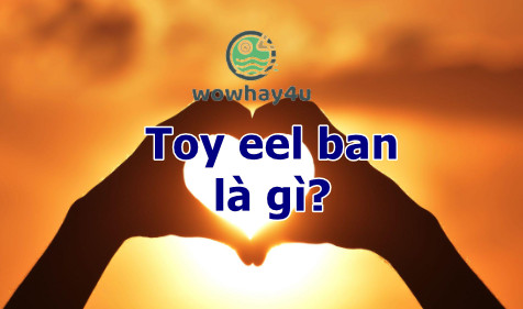 Toy eel ban là gì? Bất ngờ dễ thương lắm đọc ngay