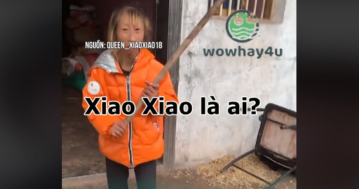 Xiao Xiao là ai? Bật mí bí mật Xiao Xiao chưa ai biết