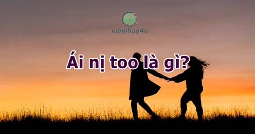 Ái nị too là gì? Lào gồng quở ái nị là gì? Không đọc sao biết