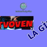 Tetvoven là gì? Đúng nhất đọc để biết