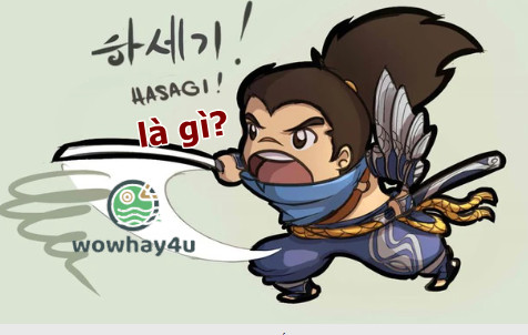 Hasaki nè là gì? Đúng nhất đọc ngay