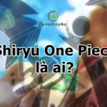 Shiryu One Piece là ai? Điều kinh hoàng về Shiryu One Piece