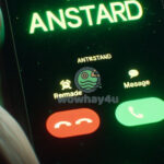 Anstard là gì? Điều bất ngờ về Anstard chưa ai biết