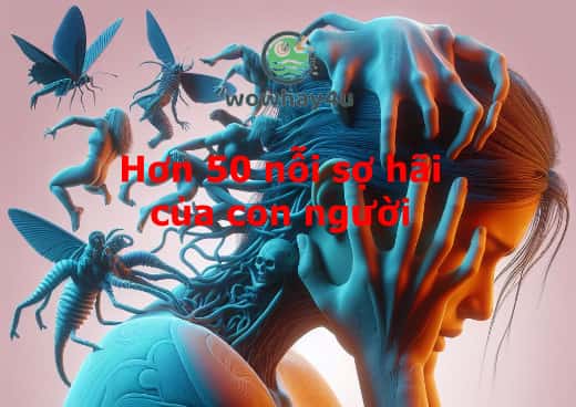 Autophobia, Asthenophobia, Proditiophobia là gì? Hơn 50 chứng sợ của con người