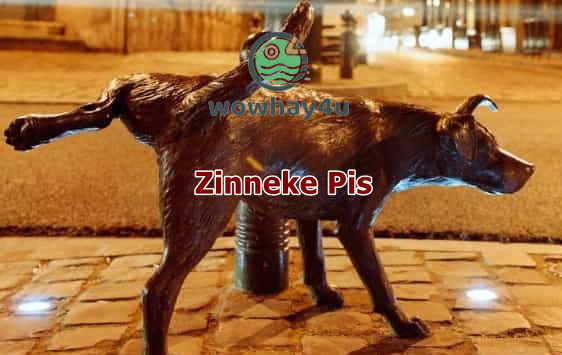 Zinneke Pis – Mọi điều về những bức tượng nổi tiếng thế giới