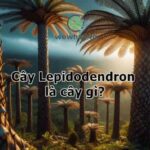 Cây Lepidodendron là cây gì? Không ngờ lạ đặc biệt đến vậy