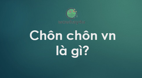 Chôn chôn vn là gì? Đây là lí do chôn chôn vn viral - wowhay4u