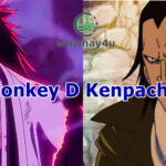 Monkey D Kenpachi – Điều đặc biệt về nhân vật One Piece vs Bleach