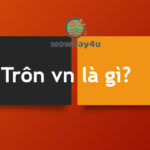 Trôn vn là gì? Đúng nhất không đọc tiếc lắm
