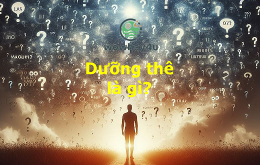 Dưỡng thê là gì? Đọc ngay để biết