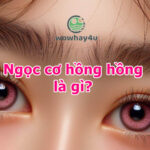 Ngọc cơ là gì? Ngọc cơ hồng hồng là gì? Đọc ngay để biết