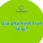 Gia phả hình tròn là gì? Lí do bạn ngừng nói câu này ngay lập tức