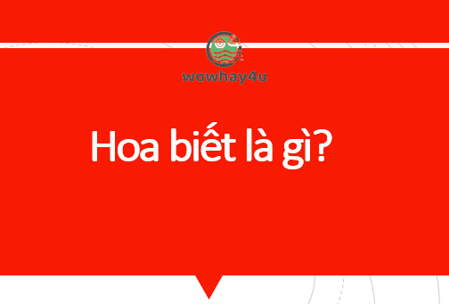 Hoa biết là gì? Mọi điều về hoa biết nhất định phải đọc