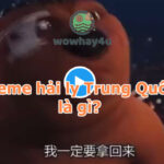 Meme con hải ly Trung Quốc là gì? Điều đặc biệt về Chinese Beaver