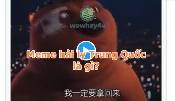 Meme con hải ly Trung Quốc là gì? Điều đặc biệt về Chinese Beaver