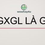 mgxgl là gì? Đọc ngay bạn nhé!