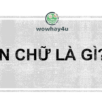 Án chữ là gì? Tôi nghĩ bạn tìm kiếm vì lí do này